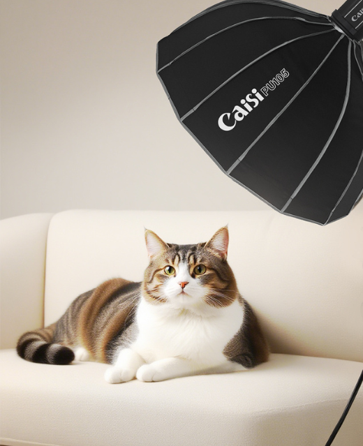 Caisi softbox
